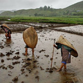 最多雨的地方：印度 Mawsynram ， 这个印度村庄每年接受着平均467英寸的降雨量。